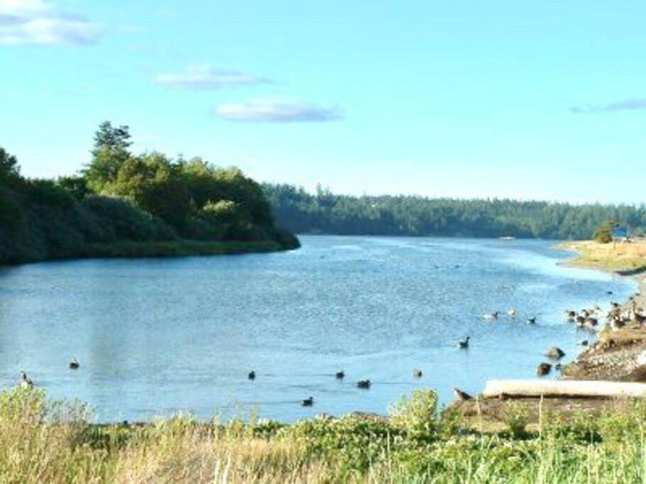 Esquimalt Lagoon Life Lägenhet Victoria Exteriör bild